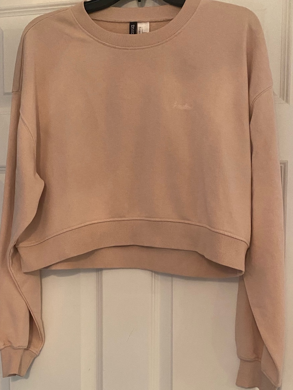 Cropped Crewneck Sweatshirt in Blush